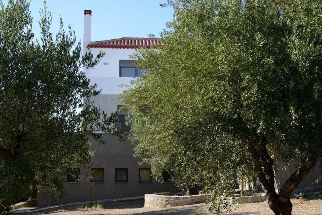 Liofyto - Stylish Villa With Views To Foinikounda Bay Kamária Exterior photo